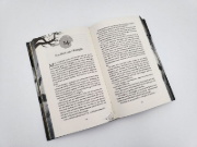 Buchcover und Innenansicht für das Buch: Schattengold - Ach, wie gut, dass niemand weiß ...