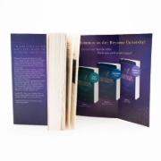Buchcover und Innenansicht für das Buch: Brynmor University - Rivalen