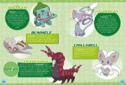 Buchcover und Innenansicht für das Buch: Pokémon: 100 Fakten über Pokémon - von Aerodactyl bis Zoroark