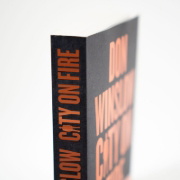 Buchcover und Innenansicht für das Buch: City on Fire