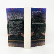 Buchcover und Innenansicht für das Buch: Das Geheimnis der verborgenen Bibliothek