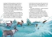 Buchcover und Innenansicht für das Buch: Glöckchen, das Weihnachtspony (Band 1) - Das Wunder vom Nordpol
