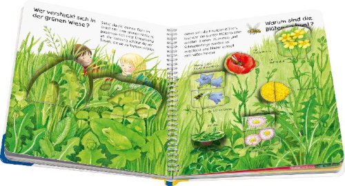 Buchcover und Innenansicht für das Buch: Wieso? Weshalb? Warum? junior, Band 13: Welche Farbe ist das?
