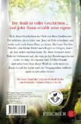 Buchcover und Innenansicht für das Buch: Das Licht in den Bäumen