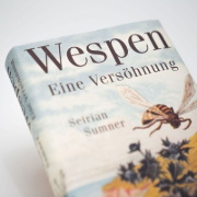 Buchcover und Innenansicht für das Buch: Wespen. Eine Versöhnung