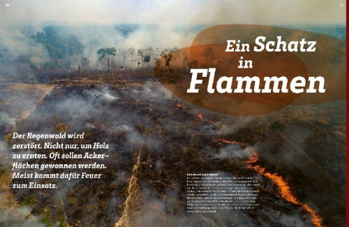 Buchcover und Innenansicht für das Buch: WAS IST WAS Regenwald. Wilde grüne Welt