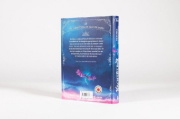Buchcover und Innenansicht für das Buch: The Celestial Mechanism 1 - The Nightsilver Promise (OT)