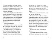 Buchcover und Innenansicht für das Buch: Flaymar the Scorched Blaze