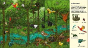 Buchcover und Innenansicht für das Buch: Suche und finde! - Wilde Tiere