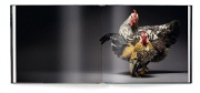 Buchcover und Innenansicht für das Buch: Feathered Elegance