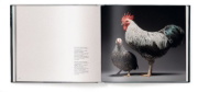 Buchcover und Innenansicht für das Buch: Feathered Elegance
