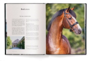 Buchcover und Innenansicht für das Buch: Equestrian