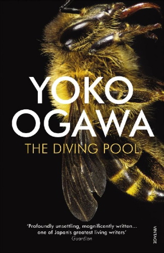 Buchcover und Innenansicht für das Buch: The Diving Pool