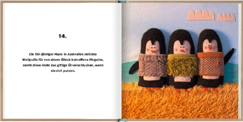 Buchcover und Innenansicht für das Buch: Rok dobrých správ (A Year of Good News)