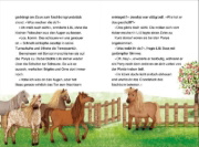 Buchcover und Innenansicht für das Buch: Liliane Susewind - Ein Pony mit Flausen im Kopf