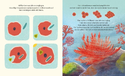 Buchcover und Innenansicht für das Buch: Who makes an Ocean