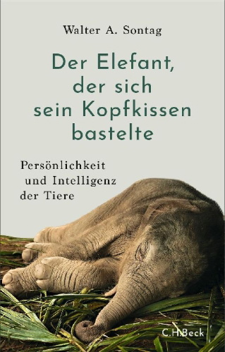 Buchcover und Innenansicht für das Buch: Der Elefant, der sich sein Kopfkissen bastelte