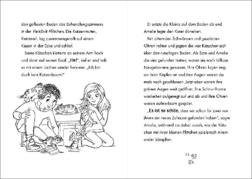 Buchcover und Innenansicht für das Buch: Animal Ark: Fox Cub Danger