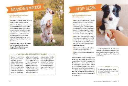 Buchcover und Innenansicht für das Buch: Spielerische Hundeerziehung