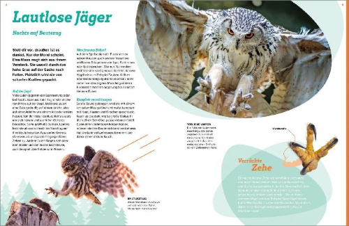Buchcover und Innenansicht für das Buch: WAS IST WAS Eulen. Jäger mit Supersinnen