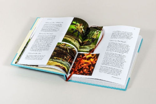 Buchcover und Innenansicht für das Buch: Gaucho - The cookbook. The spirit of Argentina, recipes and stories