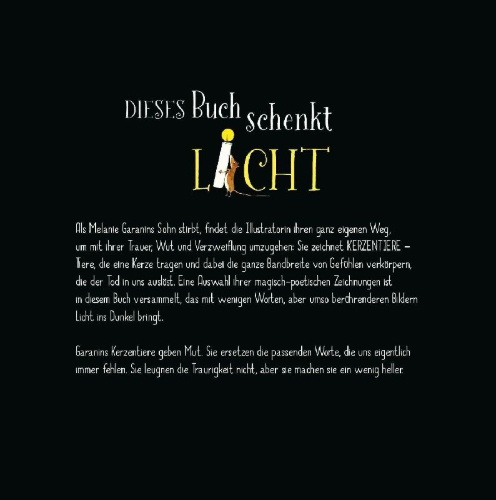 Buchcover und Innenansicht für das Buch: Was bleibt, ist Licht