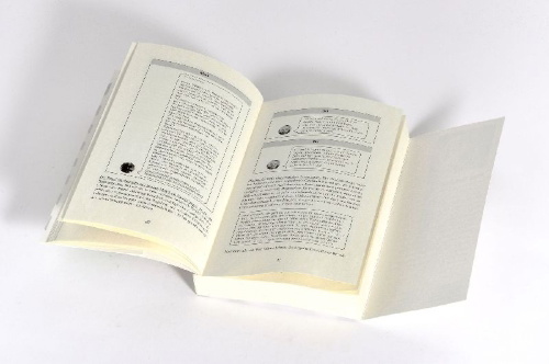 Buchcover und Innenansicht für das Buch: The 5 second rule