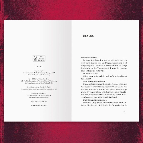 Buchcover und Innenansicht für das Buch: Timelock, Band 3 - Zeitmeister