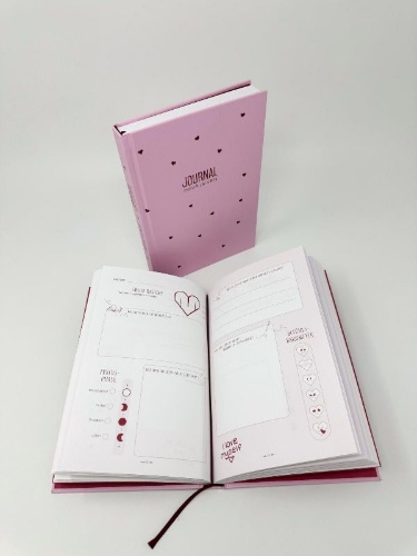 Buchcover und Innenansicht für das Buch: Journal