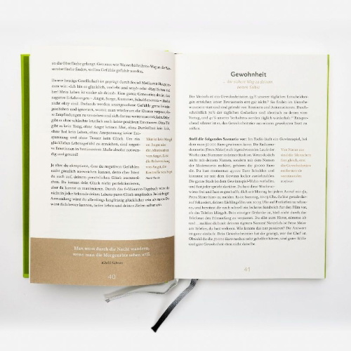 Buchcover und Innenansicht für das Buch: Das 6-Minuten-Tagebuch (limone)