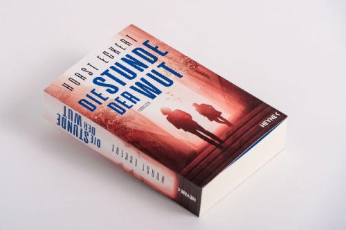 Buchcover und Innenansicht für das Buch: Die Stunde der Wut