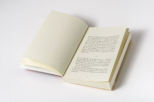 Buchcover und Innenansicht für das Buch: Halbinsel