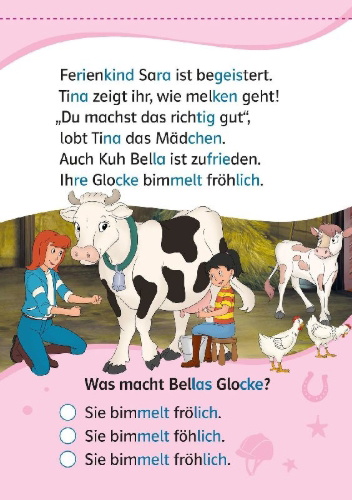 Buchcover und Innenansicht für das Buch: Lesefuchs Bibi & Tina: Leserätsel Lesestufe 1, Band 1