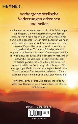 Buchcover und Innenansicht für das Buch: Healing Collective Trauma
