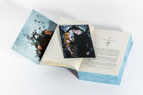 Buchcover und Innenansicht für das Buch: Cruel Noblesse: Melodie der Rache