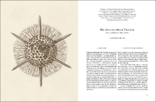 Buchcover und Innenansicht für das Buch: Ernst Haeckel