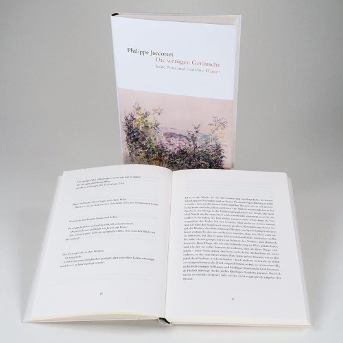 Buchcover und Innenansicht für das Buch: Ce peu de bruits