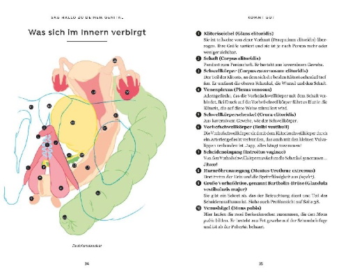 Buchcover und Innenansicht für das Buch: Jouissance Club: Une cartographie du plaisir