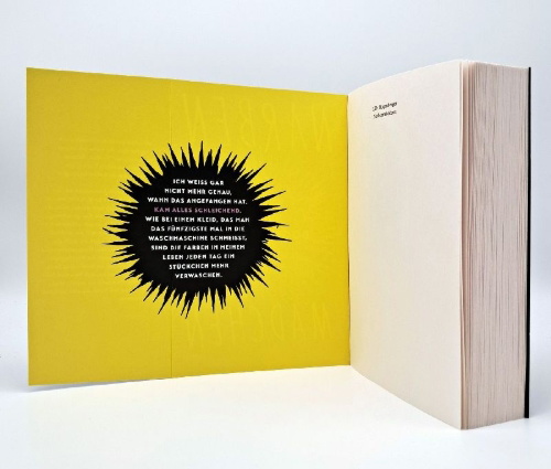 Buchcover und Innenansicht für das Buch: Narbenmädchen