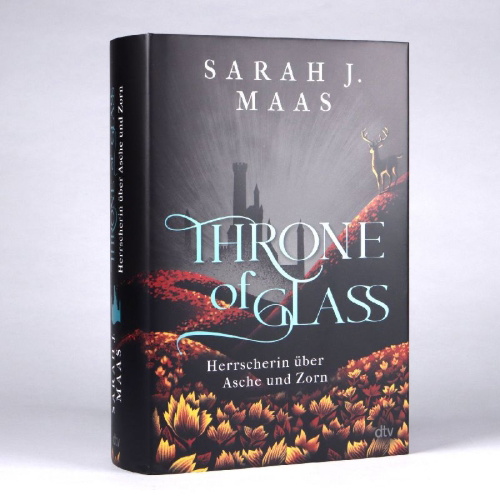 Buchcover und Innenansicht für das Buch: Kingdom of Ash