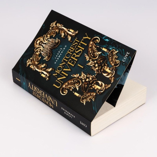 Buchcover und Innenansicht für das Buch: Montcrest University 1: Lessons in Evil
