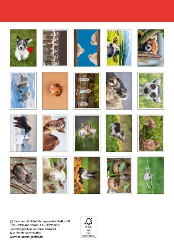 Buchcover und Innenansicht für das Buch: Postkartenblock Lustige Tiere