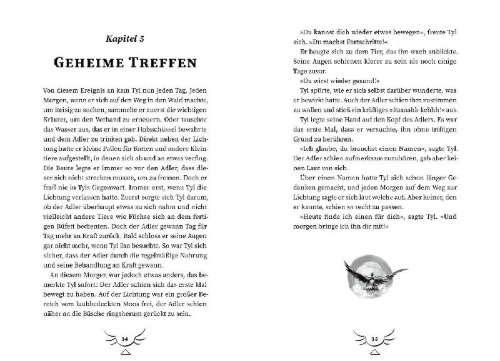 Buchcover und Innenansicht für das Buch: Eagle Rider 1. Deine Kraft findet dich