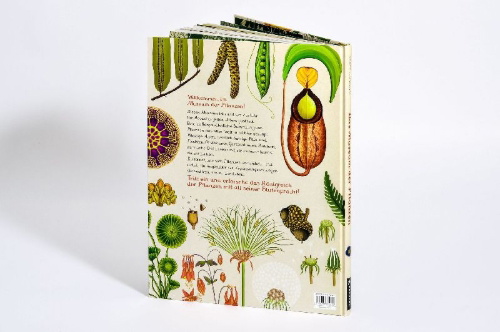 Buchcover und Innenansicht für das Buch: Botanicum. Welcome to the Museum