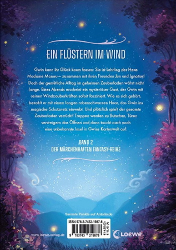 Buchcover und Innenansicht für das Buch: Gwin und die Nacht des Kometen (Band 2)