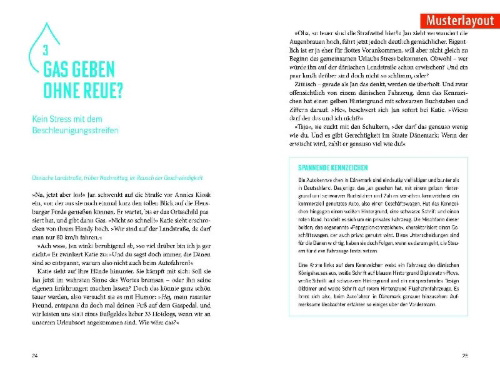 Buchcover und Innenansicht für das Buch: Fettnäpfchenführer Niederlande