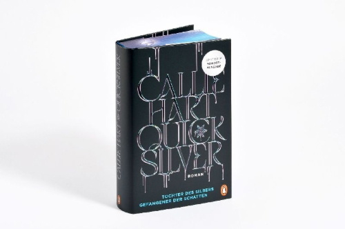 Buchcover und Innenansicht für das Buch: Quick Silver