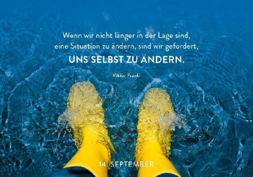 Buchcover und Innenansicht für das Buch: 365 mal Gelassenheit