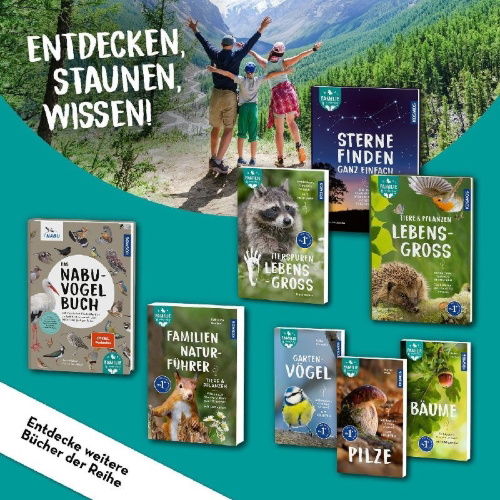 Buchcover und Innenansicht für das Buch: Gartenvögel