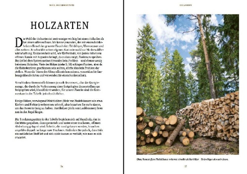 Buchcover und Innenansicht für das Buch: Holz - Ofen - Feuer